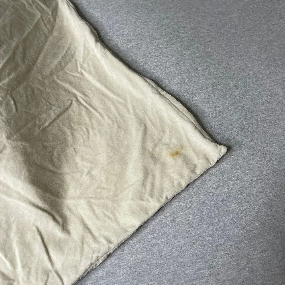 IKEA Fjadrar 20”x20” Inner Pillow & Sanela Cushion Pillow Case 2 PCS. Set